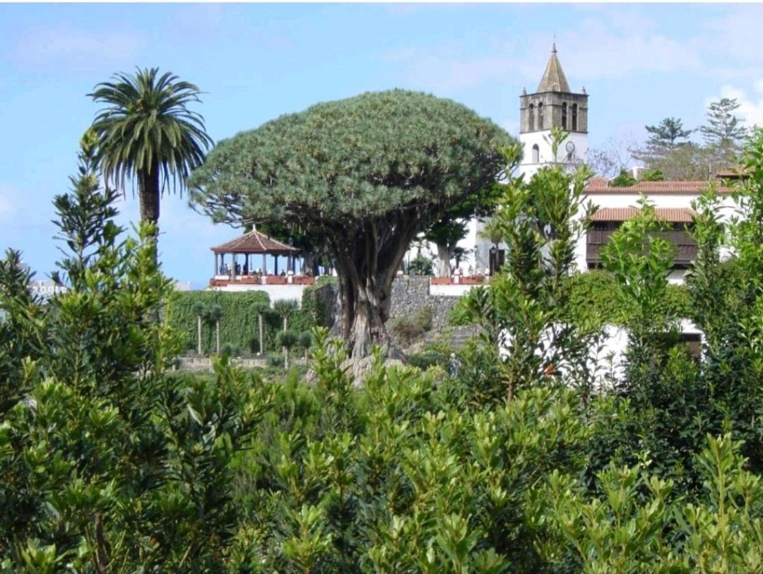 Apartamento Playa San Marcos Icod De Los Vinos Bilik gambar